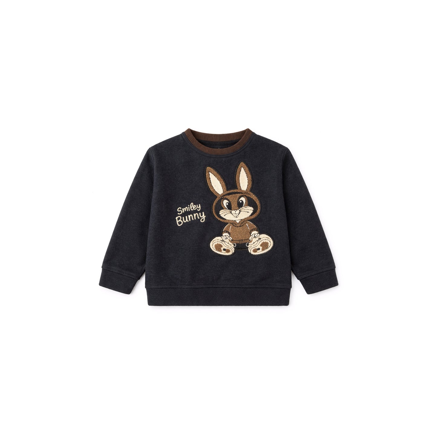 Graphic Sweatshirt with Embroidered Motif
