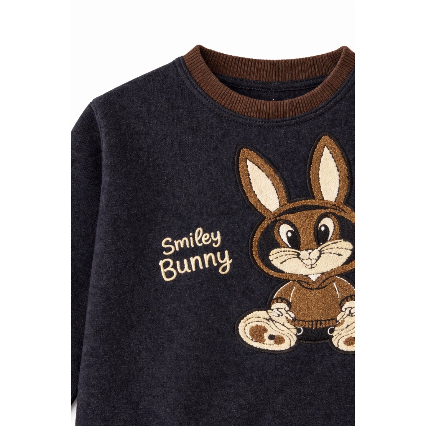 Graphic Sweatshirt with Embroidered Motif