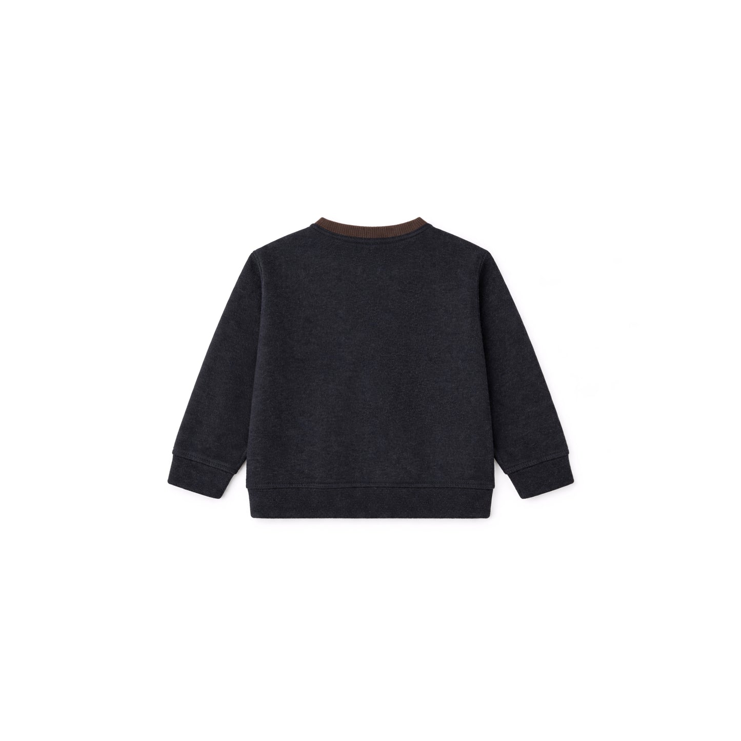 Graphic Sweatshirt with Embroidered Motif