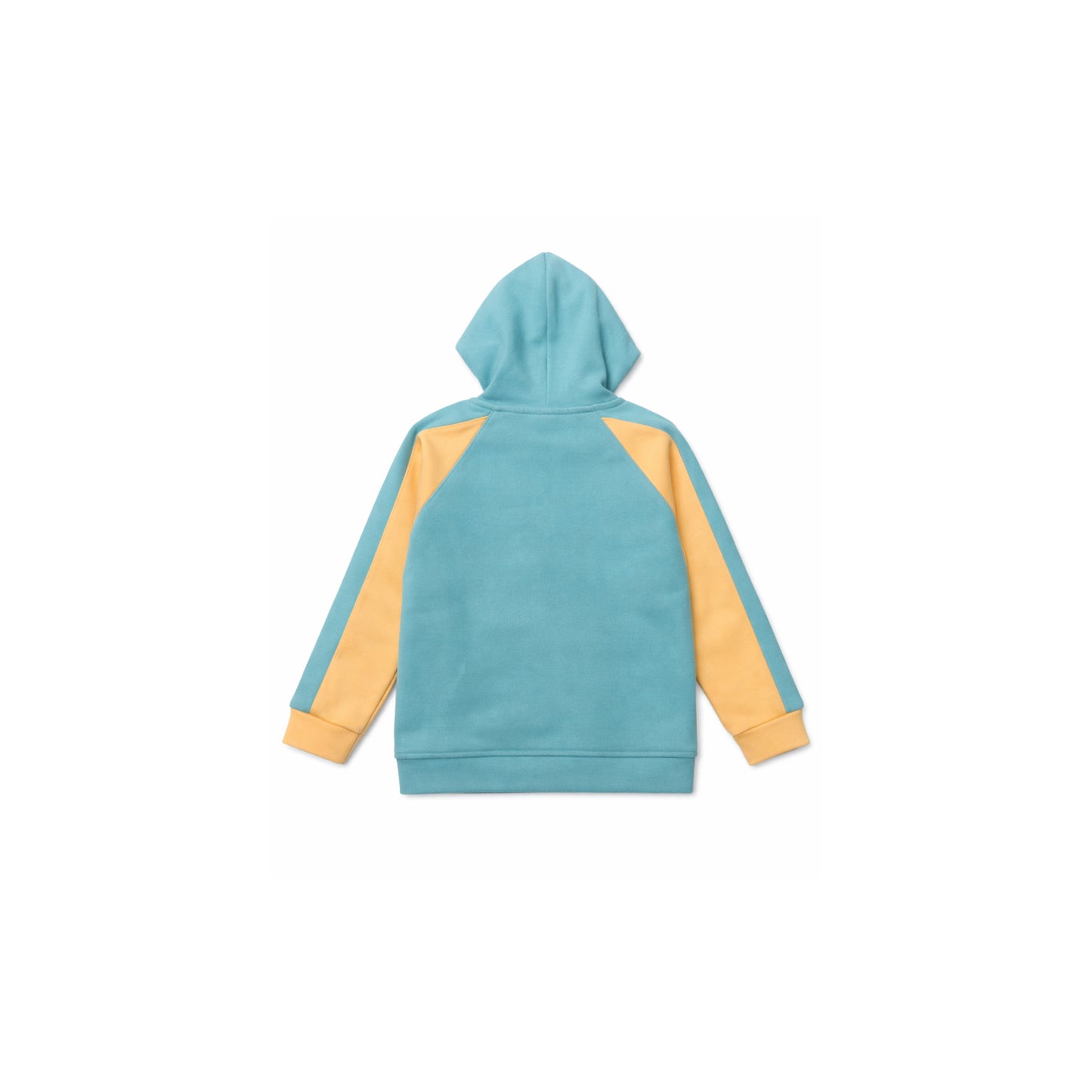 Colour Panel Zip Hoodie with Graphic Detail